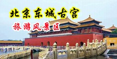 操女人逼av中国北京-东城古宫旅游风景区